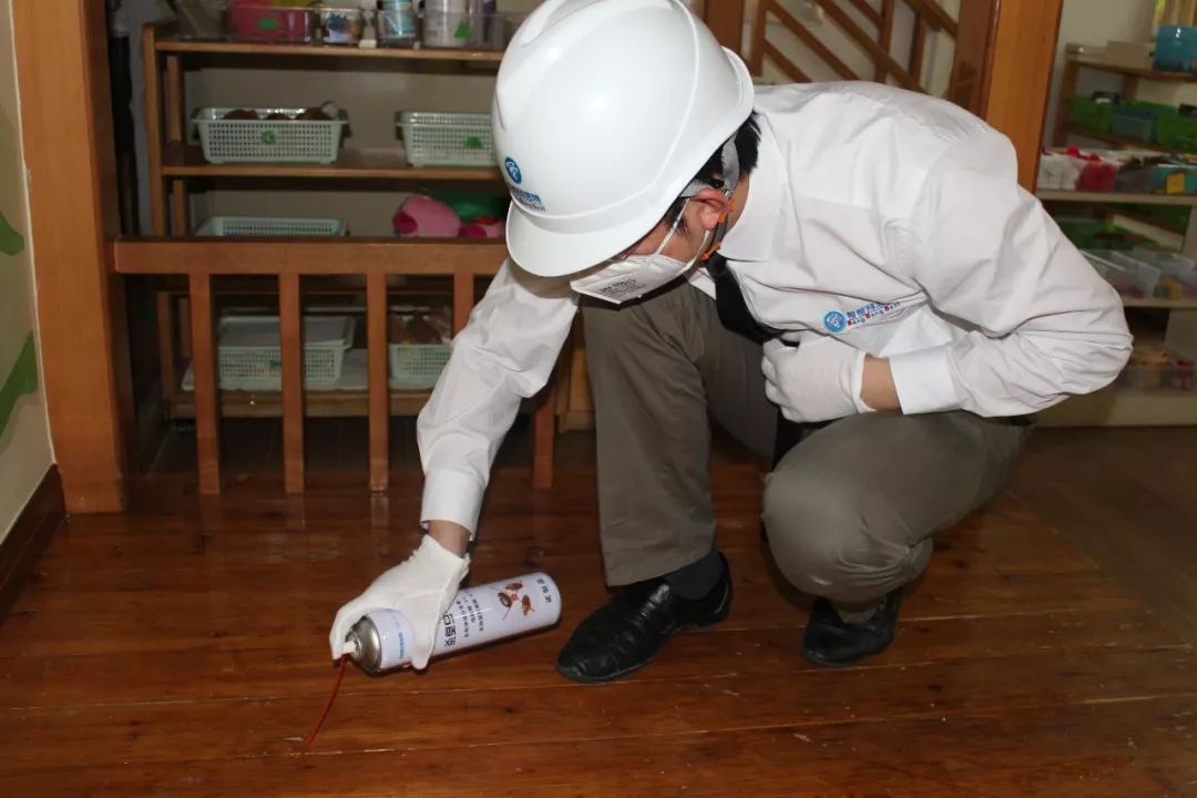 灭白蚁有毒吗_灭白蚁用什么杀虫剂_灭白蚁的最好办法