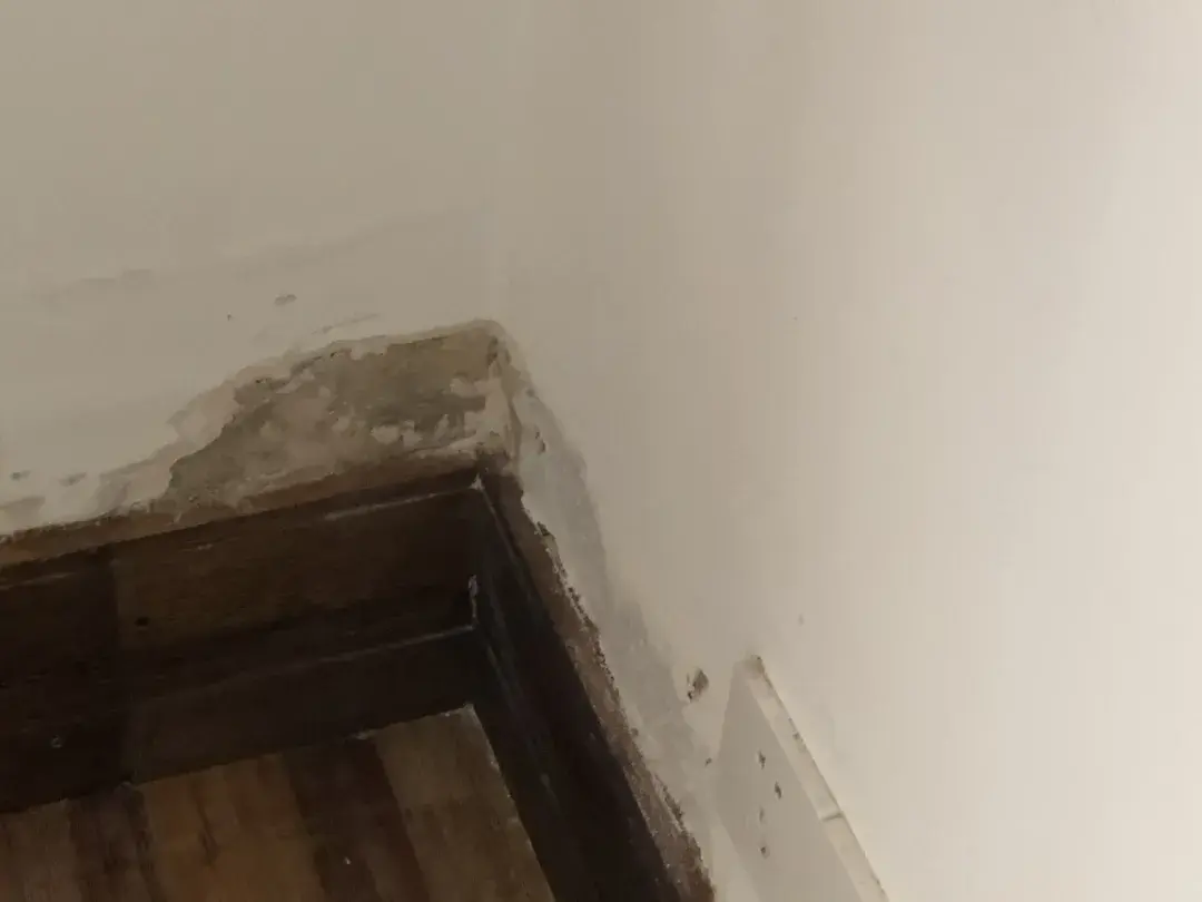 灭白蚁药哪里有卖_灭白蚁药有毒不_买灭白蚁药