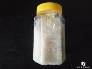小苏打能治蟑螂吗,消灭蟑螂的最好办法