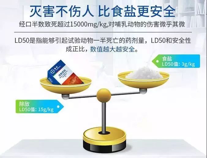 灭苍蝇的神器_苍蝇神器对人体有害吗_排名第一的灭苍蝇神器