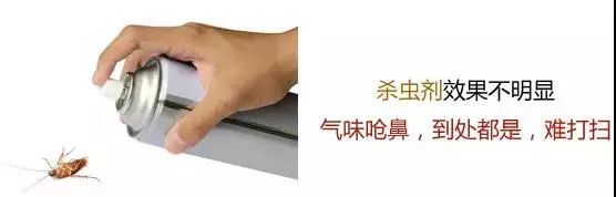 灭苍蝇的神器_排名第一的灭苍蝇神器_苍蝇神器对人体有害吗