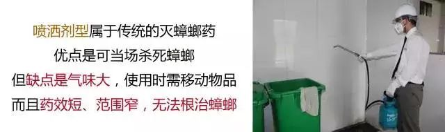 灭苍蝇的神器_苍蝇神器对人体有害吗_排名第一的灭苍蝇神器