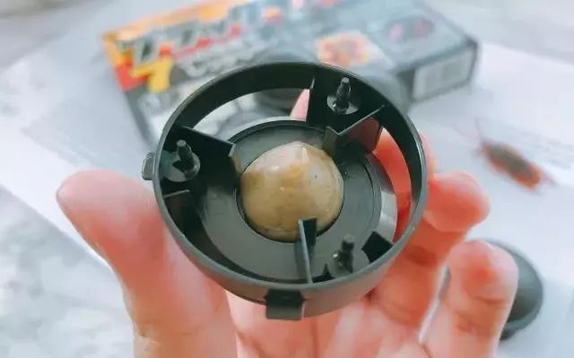 苍蝇神器对人体有害吗_灭苍蝇的神器_排名第一的灭苍蝇神器