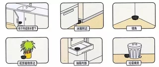 排名第一的灭苍蝇神器_苍蝇神器对人体有害吗_灭苍蝇的神器