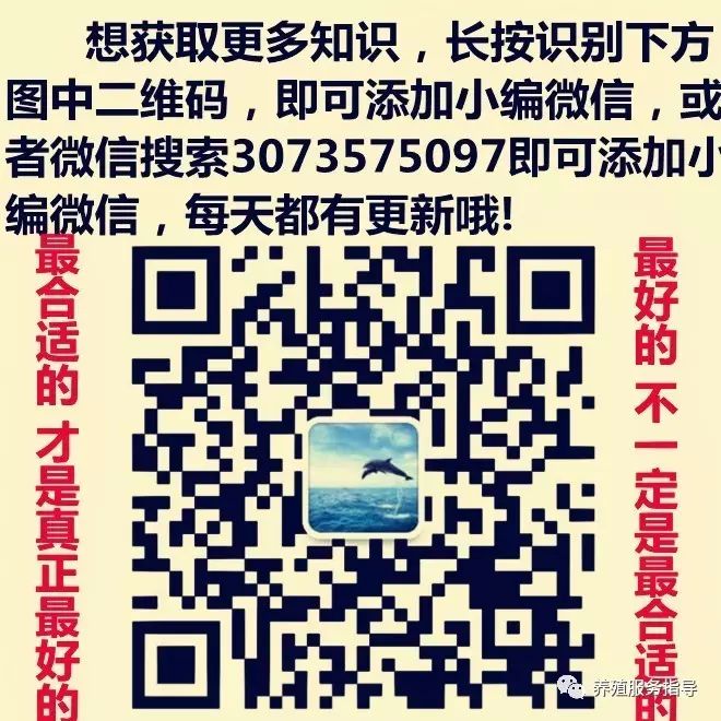灭苍蝇的神器_灭苍蝇神器怎么用_苍蝇神器对人体有害吗