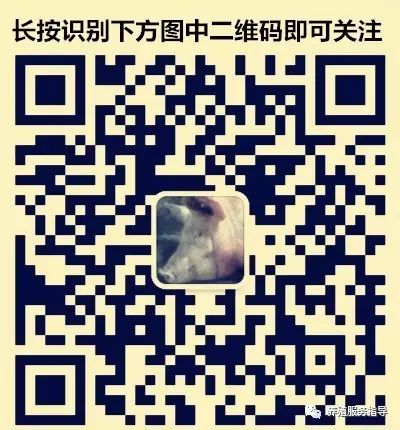 苍蝇神器对人体有害吗_灭苍蝇的神器_灭苍蝇神器怎么用