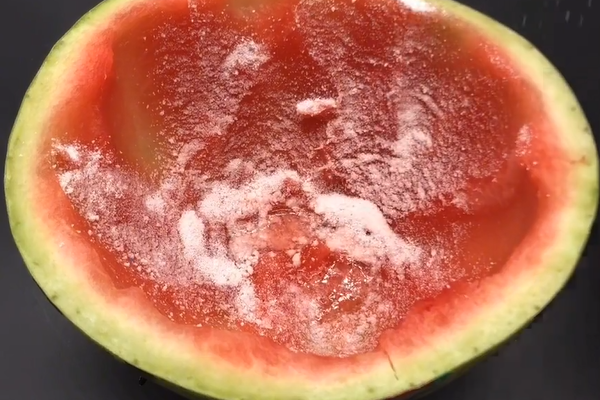 排名第一的灭苍蝇神器_灭苍蝇神器怎么用_灭苍蝇的神器