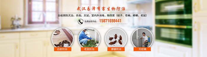 白蚁怎么灭_灭白蚁上门服务多少钱_灭白蚁的特效药