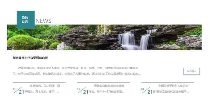 灭白蚁上门服务多少钱_白蚁怎么灭_灭白蚁的特效药