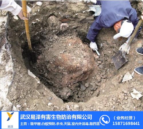 灭白蚁上门服务多少钱_灭白蚁的特效药_白蚁怎么灭