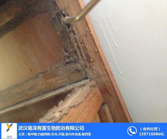 白蚁怎么灭_灭白蚁上门服务多少钱_灭白蚁的特效药
