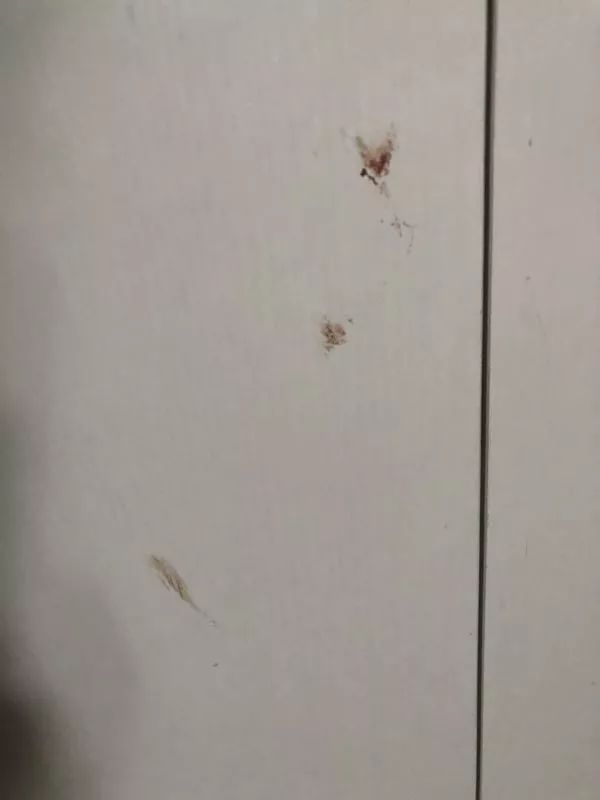 灭花蚊子药_灭蚊子花_杀花蚊子特效药