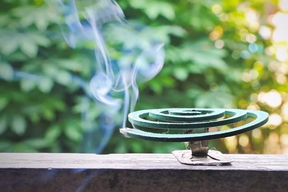 灭蚊子花_灭花蚊子药_杀花蚊子特效药