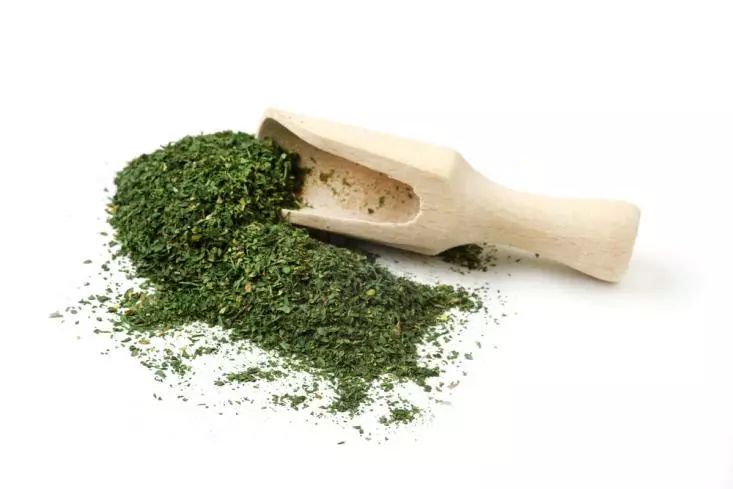 灭蚊子花_灭花蚊子药_杀花蚊子特效药