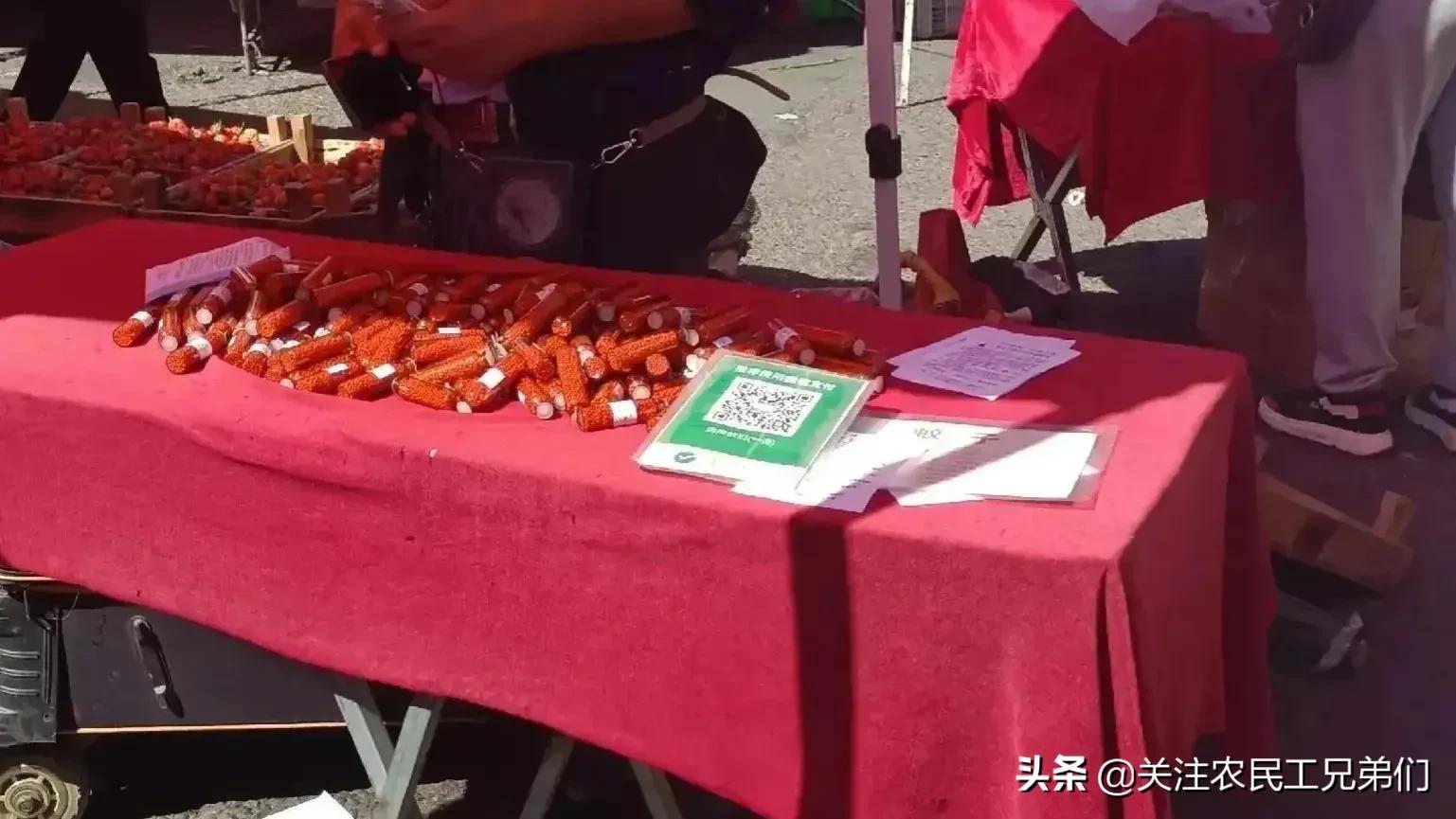 灭苍蝇药物_灭苍蝇的药水_灭苍蝇用什么药效果最好