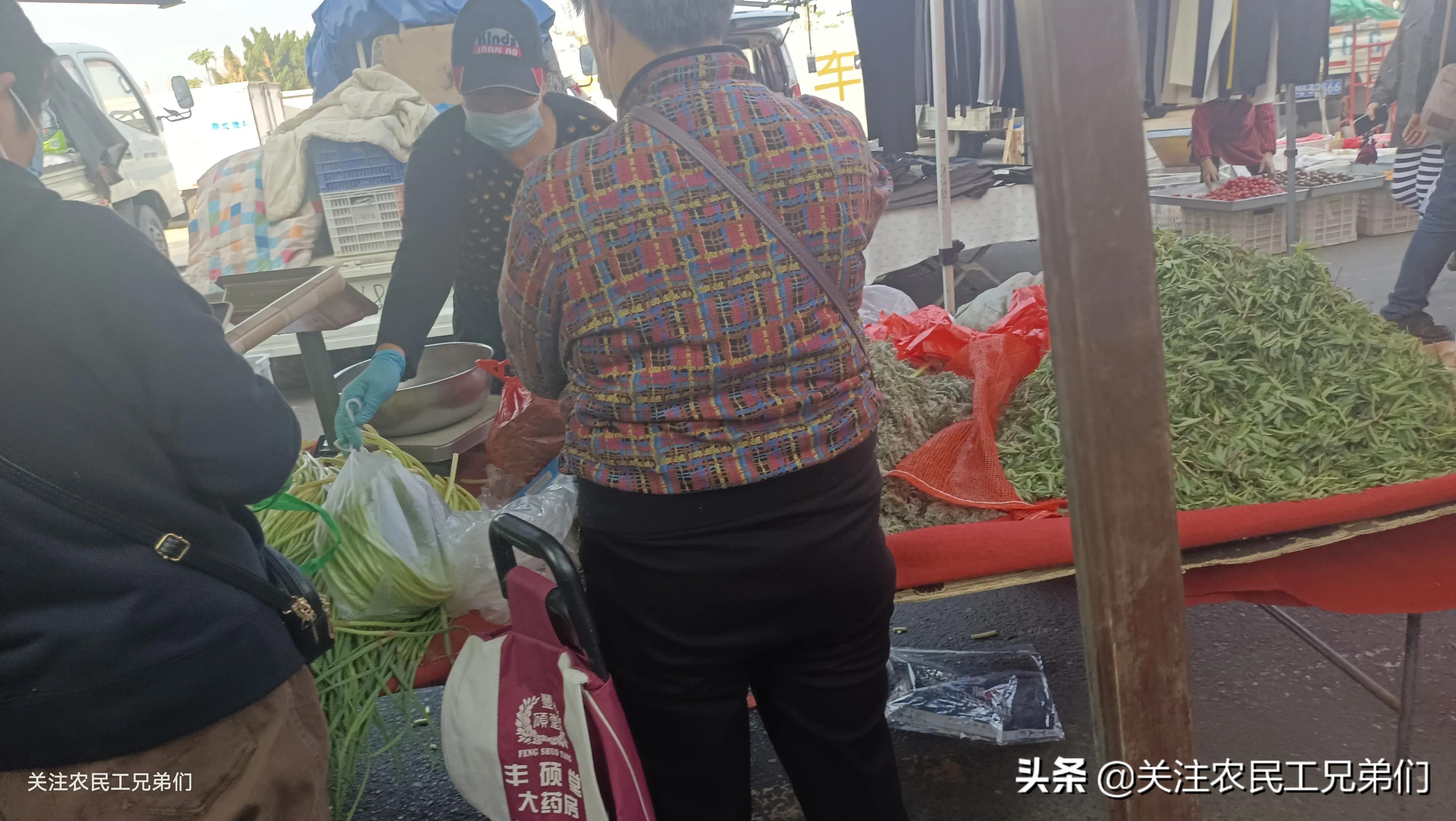 灭苍蝇药物_灭苍蝇的药水_灭苍蝇用什么药效果最好