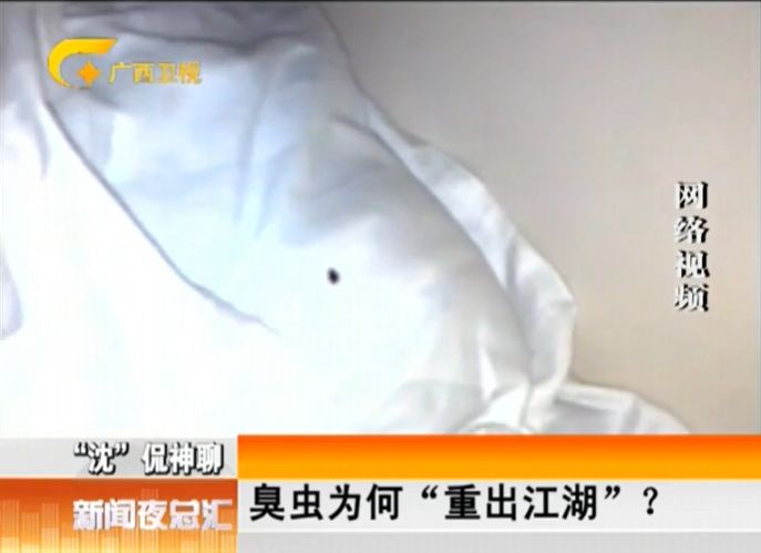 吸血臭虫怎么消灭最彻底_吸血臭虫是怎么长出来的_吸血臭虫