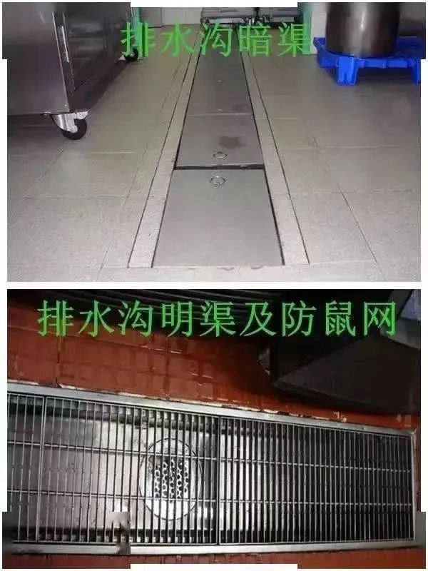 投放灭鼠药物的规定_投放药物规范灭鼠制度_灭鼠药物投放规范
