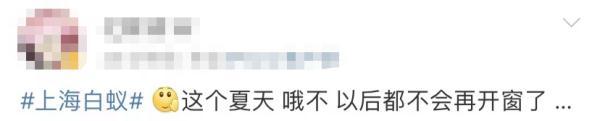 上门灭白蚁一般多少钱_上门灭钱白蚁一般要多久_上门灭钱白蚁一般多少钱