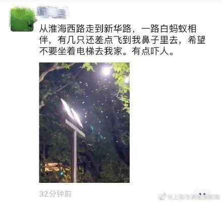 上门灭钱白蚁一般多少钱_上门灭白蚁一般多少钱_上门灭钱白蚁一般要多久