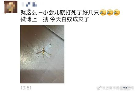 上门灭钱白蚁一般多少钱_上门灭钱白蚁一般要多久_上门灭白蚁一般多少钱