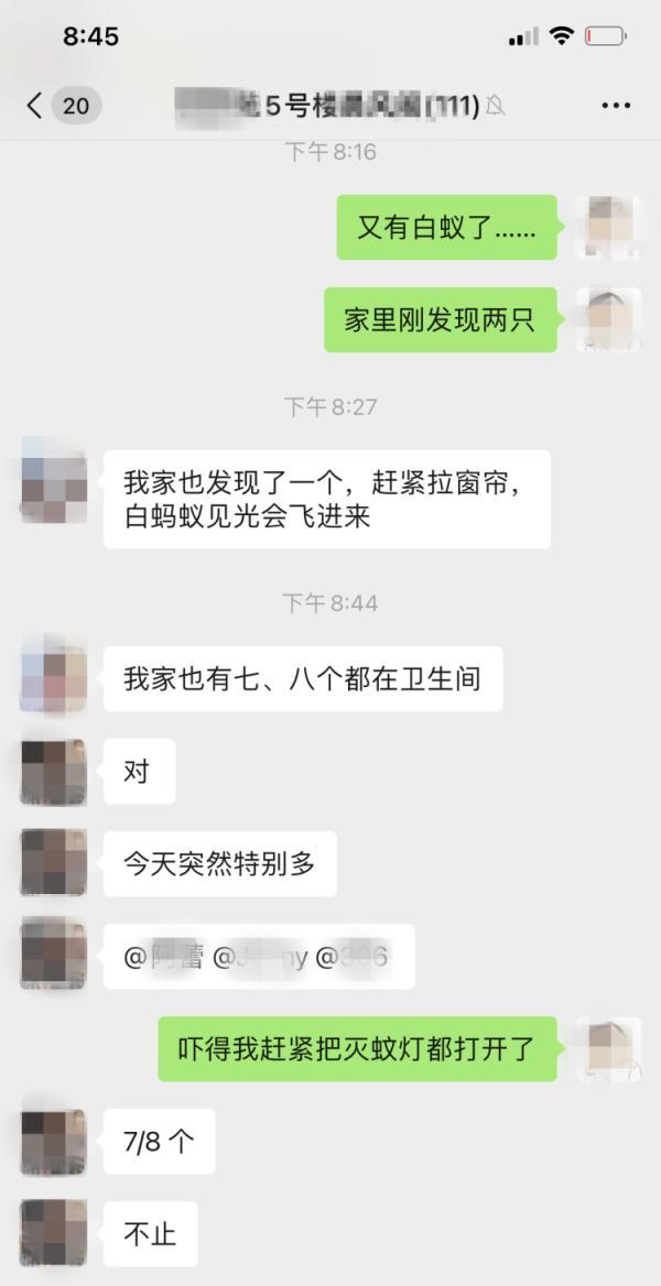 上门灭钱白蚁一般多少钱_上门灭钱白蚁一般要多久_上门灭白蚁一般多少钱
