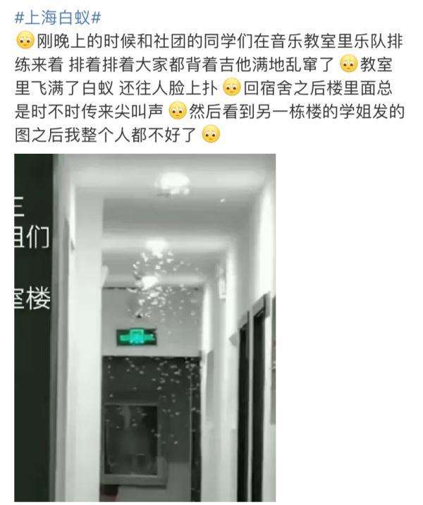 上门灭钱白蚁一般多少钱_上门灭白蚁一般多少钱_上门灭钱白蚁一般要多久