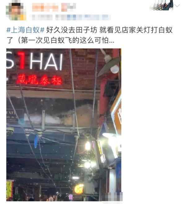 上门灭钱白蚁一般多少钱_上门灭白蚁一般多少钱_上门灭钱白蚁一般要多久
