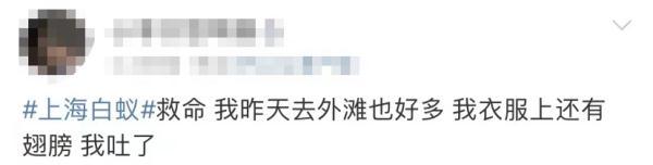 上门灭钱白蚁一般要多久_上门灭钱白蚁一般多少钱_上门灭白蚁一般多少钱