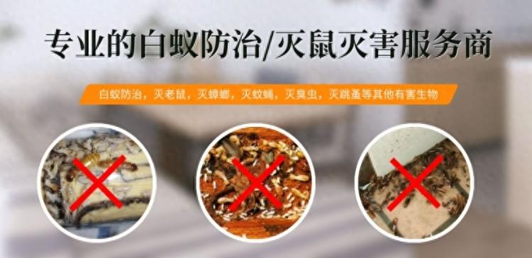 灭白蚁_灭白蚁的公司正规吗_正规的灭白蚁公司