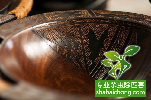 跳蚤怎么逮_专业抓跳蚤_抓跳蚤神器