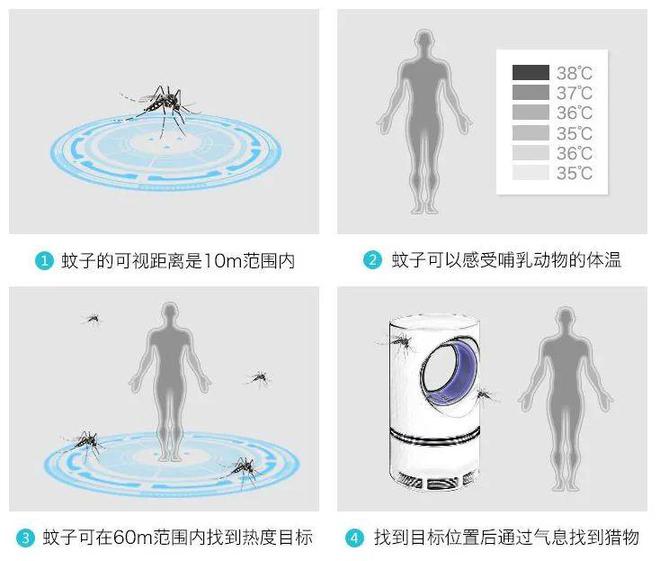 灭蚊神器怎么做_灭蚊神器多少钱一个_灭蚊子神器