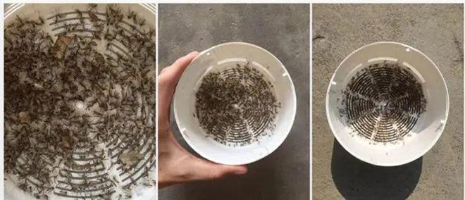 灭蚊子神器_灭蚊神器多少钱一个_灭蚊神器怎么做