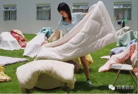 臭臭虫动画片第三季_臭臭虫动画片全集_臭臭虫