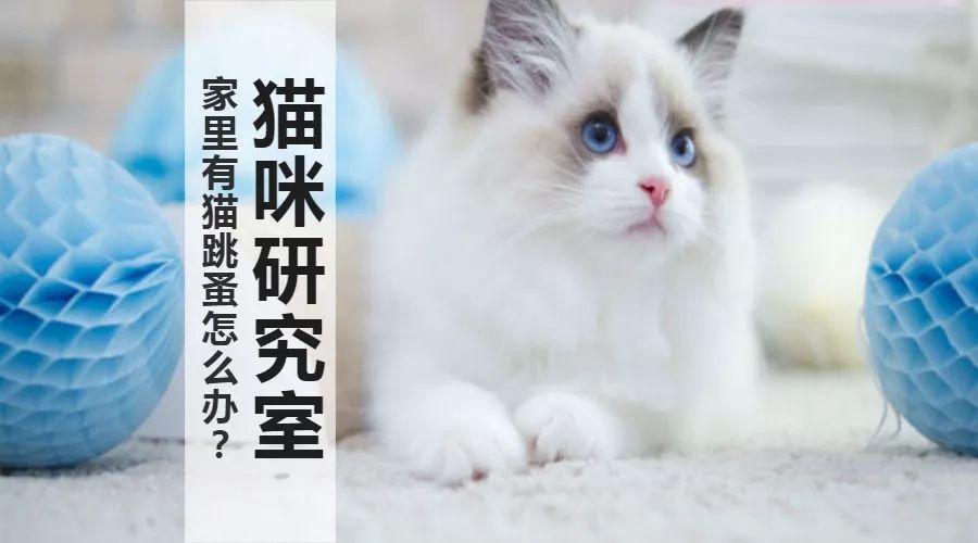 灭跳蚤药的成分是什么_灭跳蚤专用药_灭跳蚤的药有毒吗