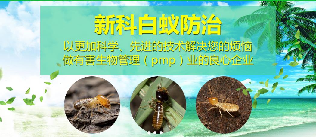 灭白蚁要钱吗_灭白蚁多少钱一次_灭白蚁怎么样报价