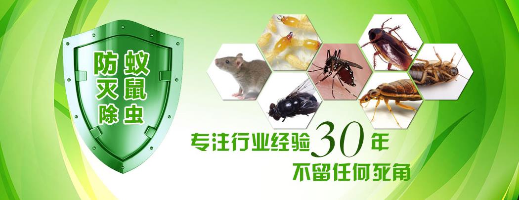 灭白蚁怎么样报价_灭白蚁多少钱一次_灭白蚁要钱吗