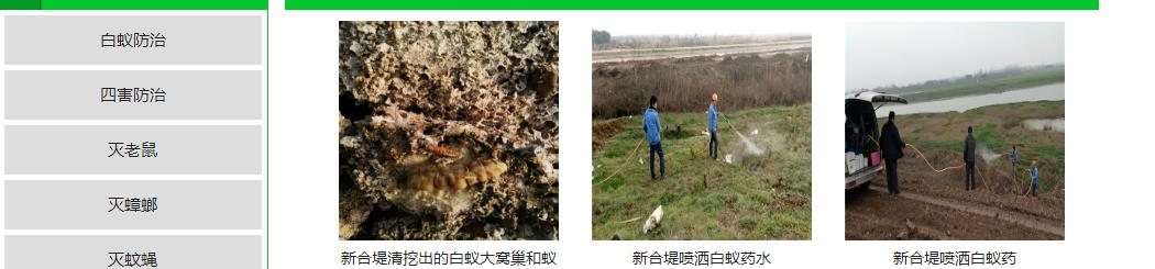 灭白蚁多少钱一次_灭白蚁要钱吗_灭白蚁怎么样报价