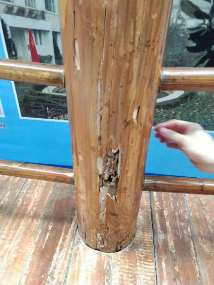 灭危害人体药白蚁有效果吗_灭白蚁药对人体有危害吗_灭白蚁药成分