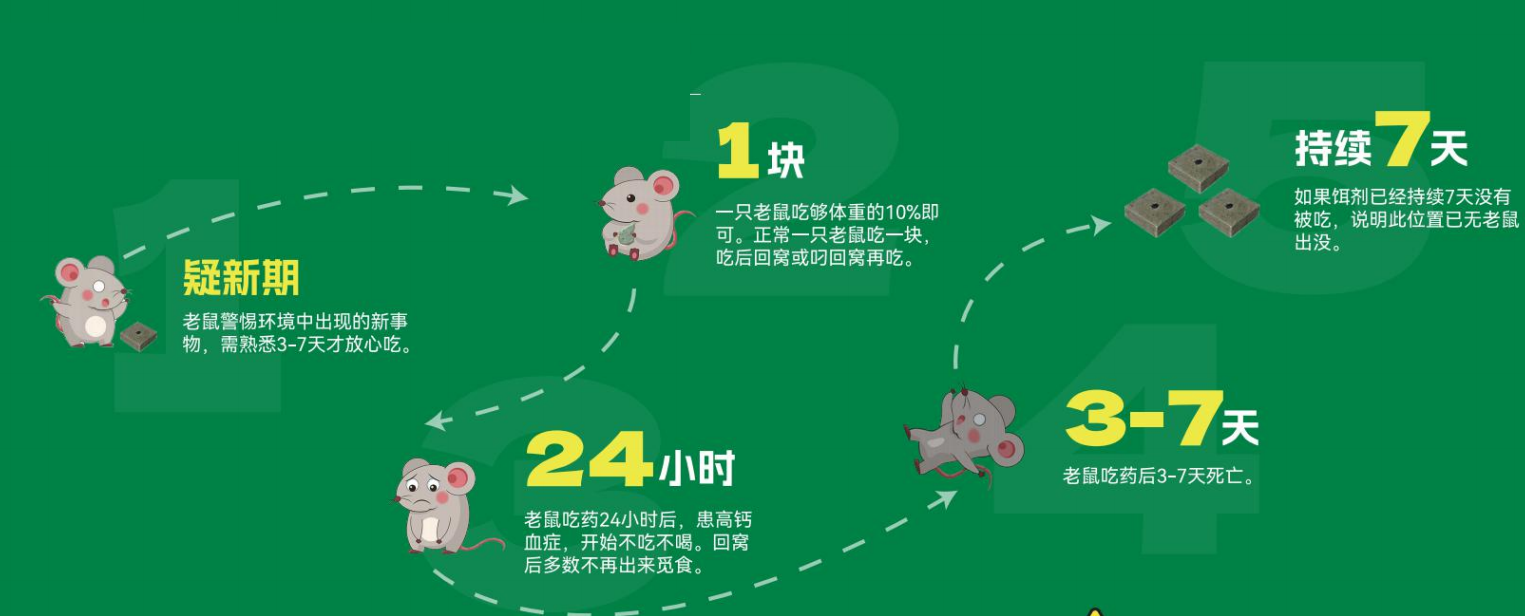 有效灭鼠药_怎样灭鼠最快最有效_有效灭鼠神器