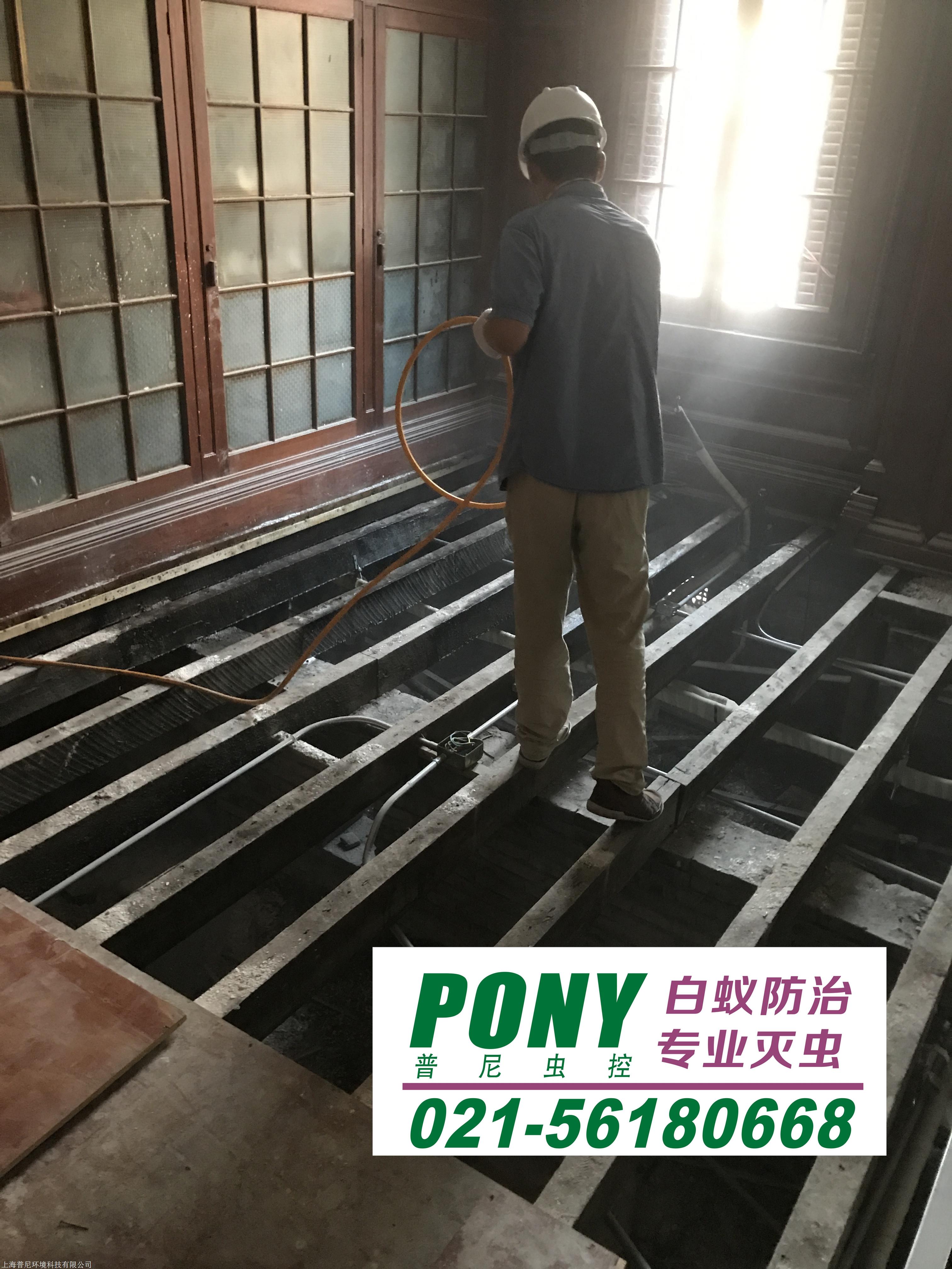 防治白蚁最有效的是什么药_灭白蚁防治_如果防治白蚁