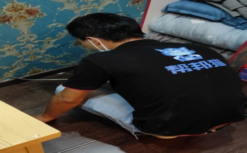 灭老鼠的最佳方法_老鼠灭老鼠_老鼠怎么灭绝妙招