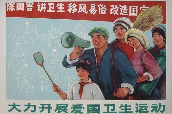 灭臭虫效果最好的药_灭臭虫神器_灭臭虫知识