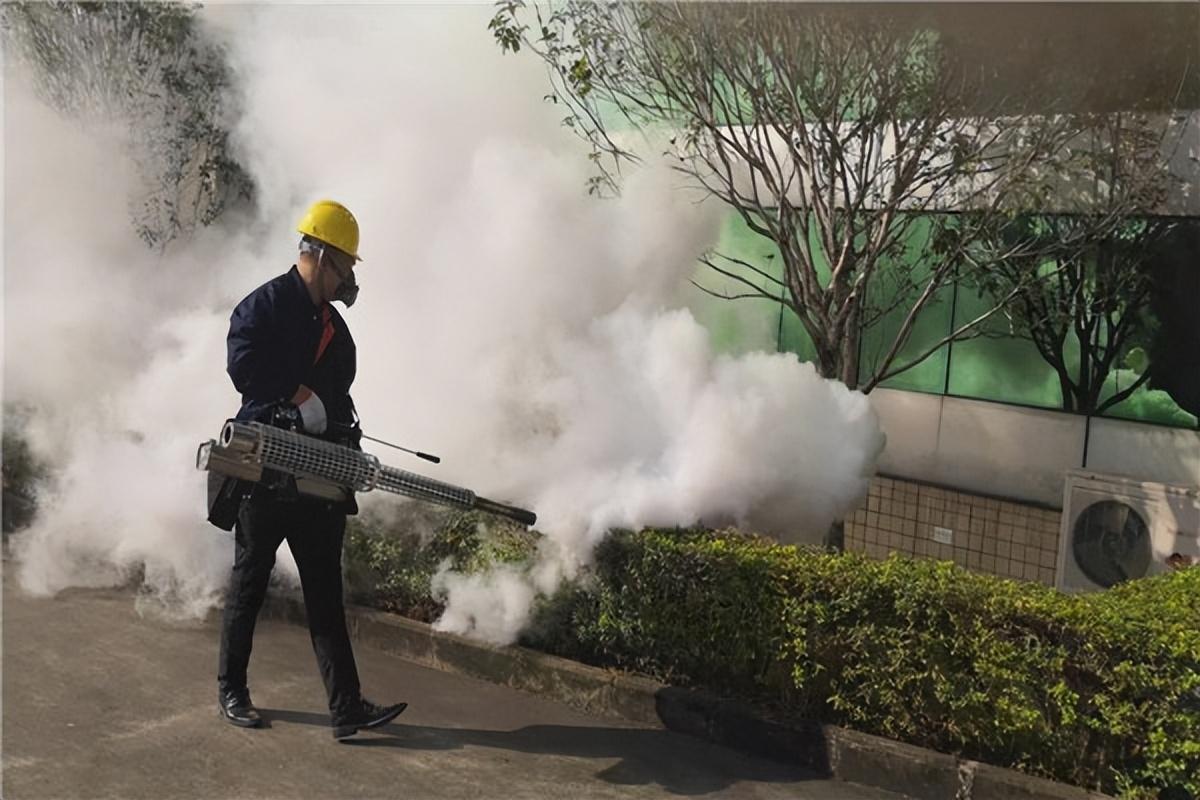 灭臭虫知识_灭臭虫神器_灭臭虫效果最好的药