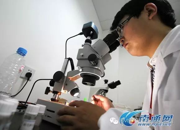 灭白蚁药对人体有害吗_灭危害人体药白蚁有哪些_灭白蚁药对人体有危害吗