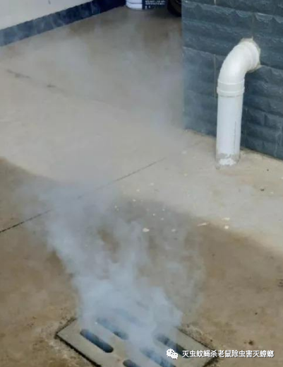 咋灭苍蝇_灭苍蝇的最好方法_苍蝇消灭苍蝇最好的办法