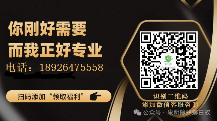 上门灭臭虫服务怎么样_专业杀臭虫上门服务费用_灭臭虫上门服务