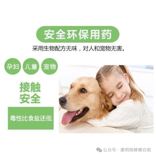 灭臭虫上门服务_专业杀臭虫上门服务费用_上门灭臭虫服务怎么样