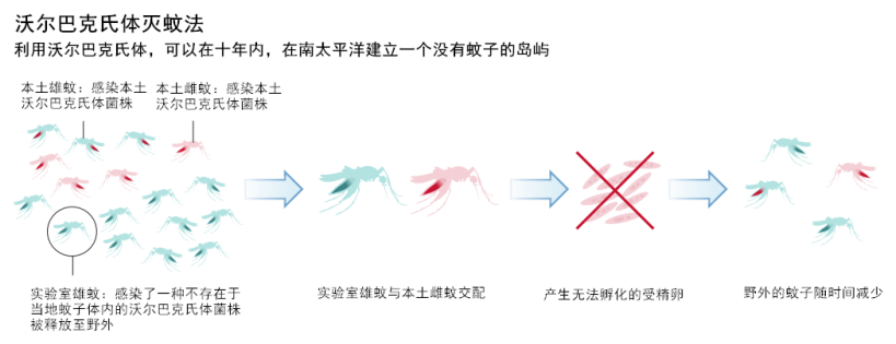 怎么灭蚊子_怎么灭蚊子_怎么灭蚊子