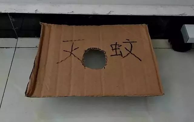 卧室消灭蚊子最好方法_卧室蚊子怎么去除_怎么把卧室的蚊子赶出去